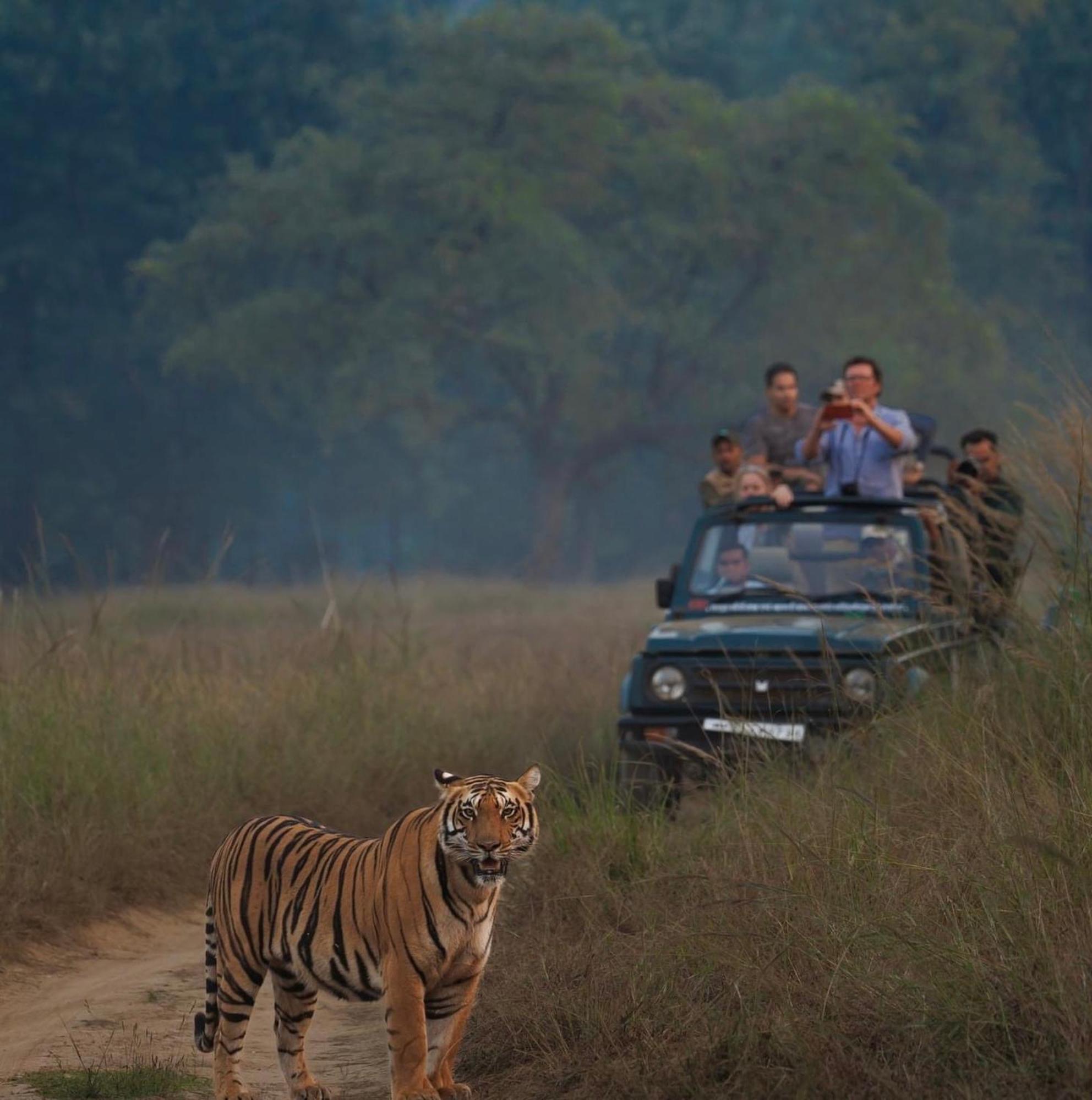 The Deer Meadows Mudumalai Exterior foto