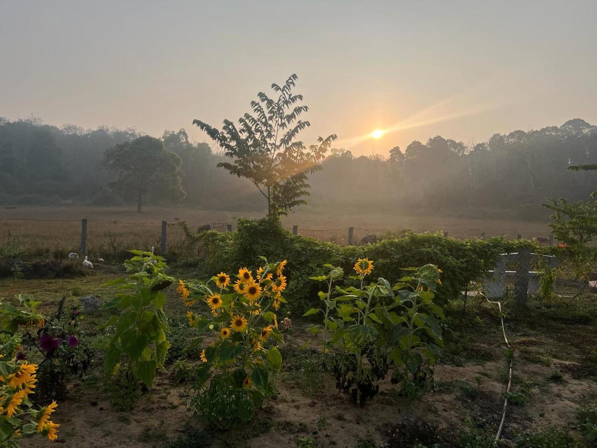 The Deer Meadows Mudumalai Exterior foto