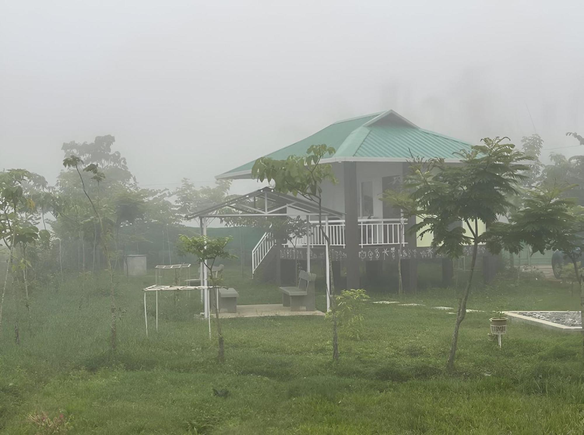 The Deer Meadows Mudumalai Exterior foto